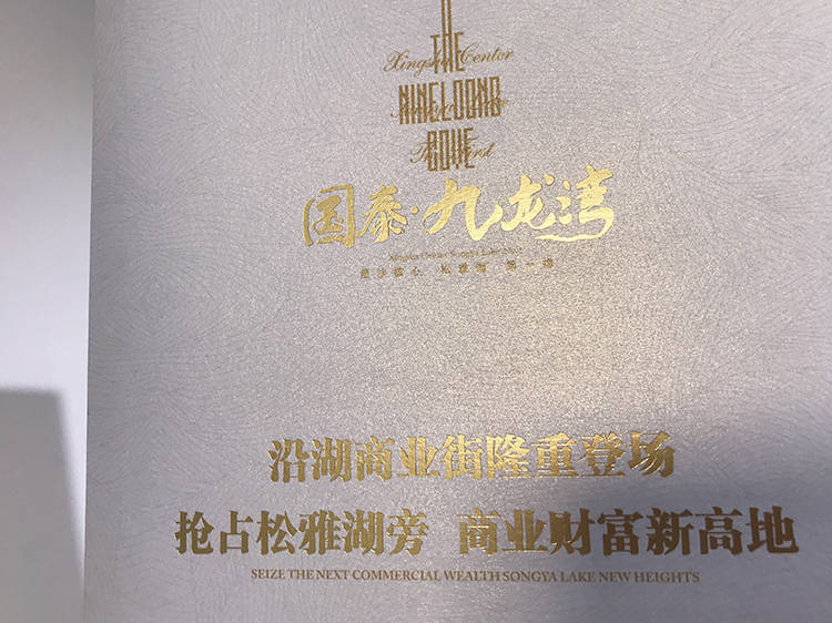 國泰九龍灣折頁(yè)3
